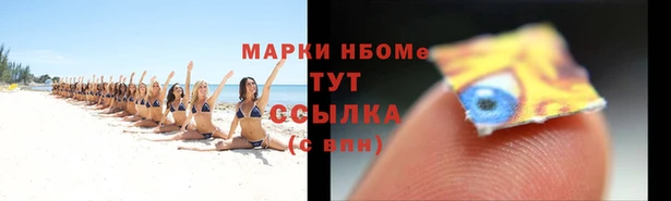 гидропоника Новозыбков